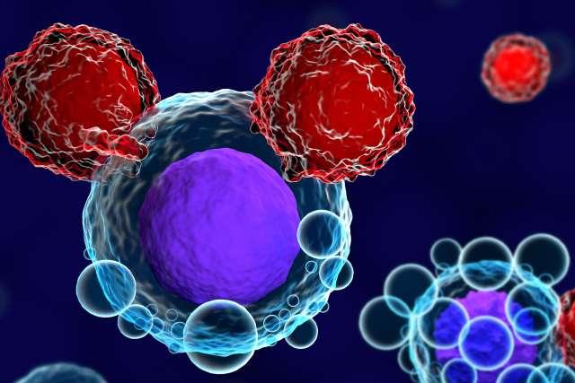 3d render of T cells attacking and killing cancer cells