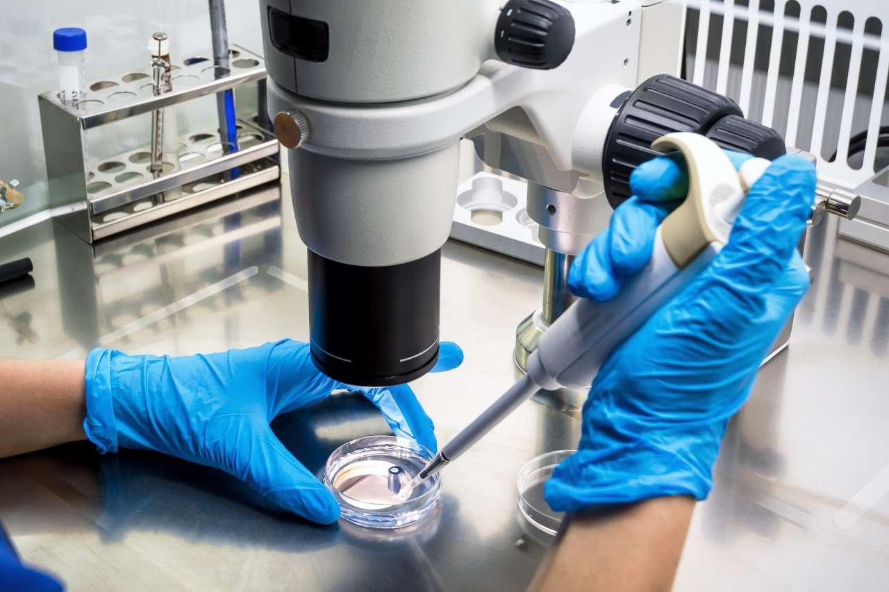 Person working at a microscope