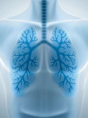 Lung Scan Illustration